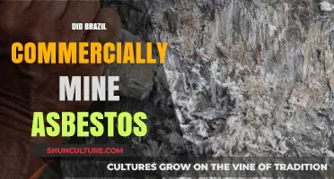 Brazil's Asbestos Mining: A History of Commercial Exploitation and Impact