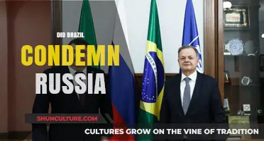 Brazil's Stance on Russia: Condemnation or Neutrality Amid Global Tensions?