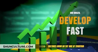 Brazil's Rapid Development: A Historical Analysis of Economic Growth