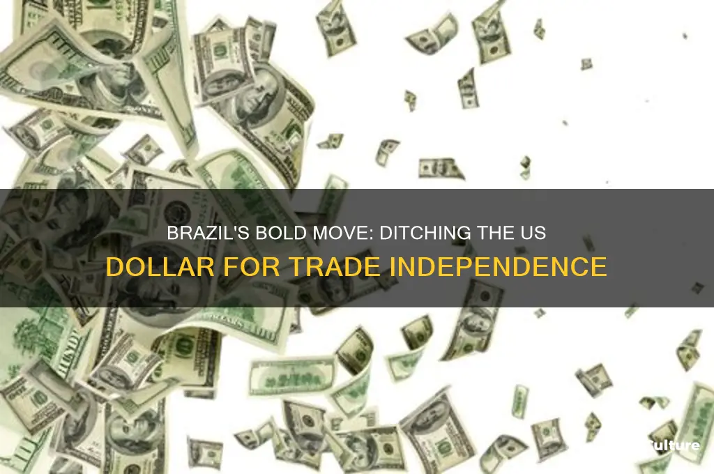 did brazil ditch the us dollar