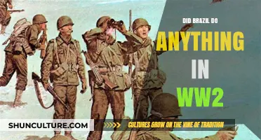 Brazil's Role in World War II: Contributions and Impact