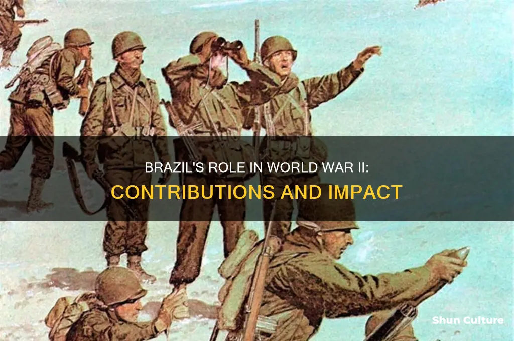 did brazil do anything in ww2