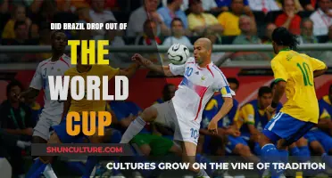 Brazil's Shocking World Cup Exit: What Happened and Why?
