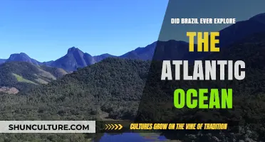 Brazil's Atlantic Exploration: Uncovering the Nation's Maritime History