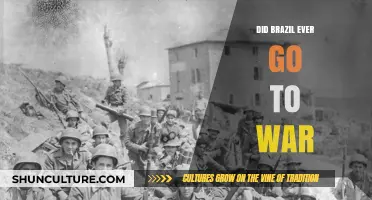 Brazil's Military History: Wars, Conflicts, and Global Involvement Explored