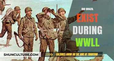 Brazil's Role and Existence During World War II Explained