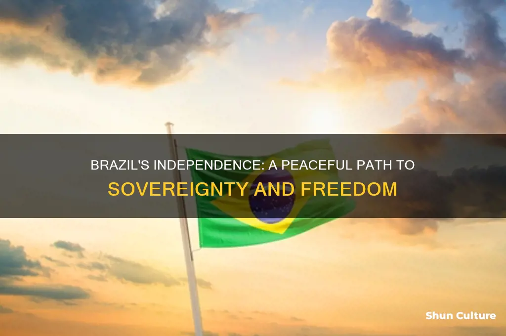 did brazil fight for independence