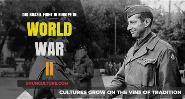 Brazil's WWII Role: Did They Fight in Europe?
