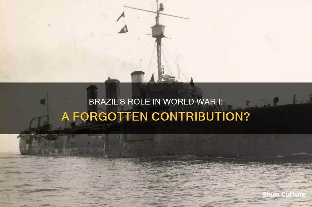 did brazil fight in ww1
