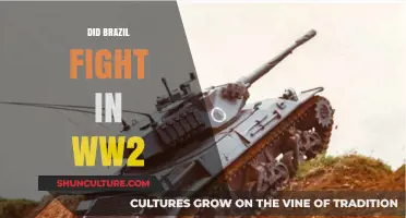 Brazil's Role in WWII: Uncovering Its Military Involvement and Impact