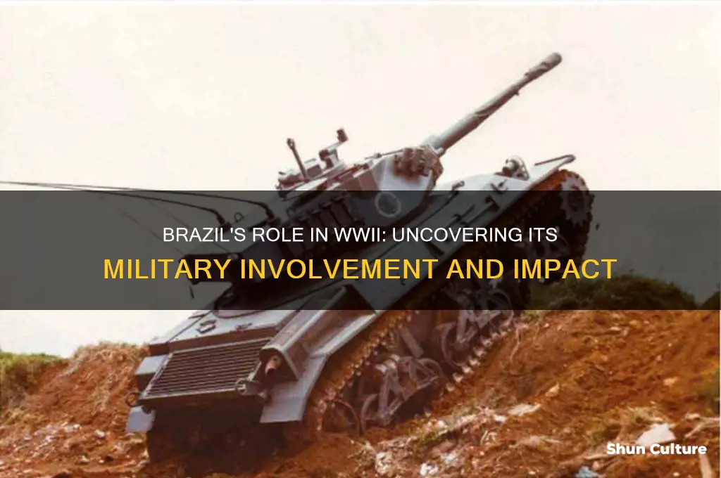 did brazil fight in ww2