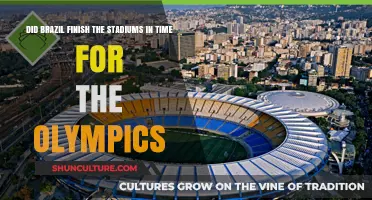Brazil's Olympic Stadiums: Did They Meet the Deadline?