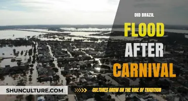 Brazil Floods Post-Carnival: Unraveling the Aftermath and Impact