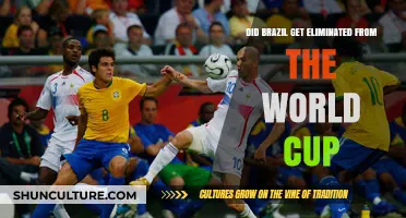 Brazil's Shocking World Cup Exit: What Went Wrong?
