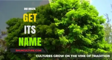 The Origin of Brazil's Name: A Historical Exploration