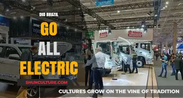 Brazil's Electric Revolution: Has the Country Gone All-Electric?