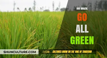 Brazil's Green Revolution: Sustainable Success or Environmental Myth?