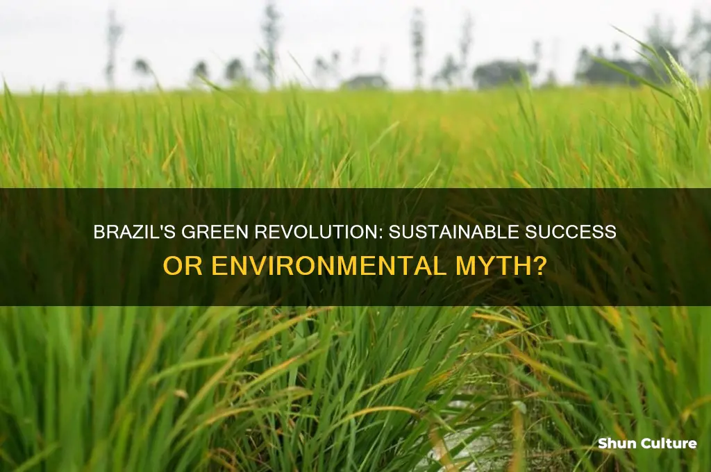 did brazil go all green