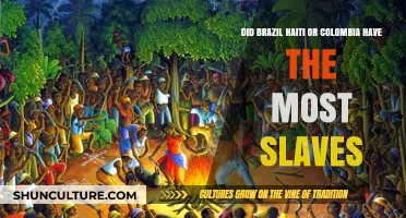 Comparing Slave Populations: Brazil, Haiti, and Colombia's Historical Context