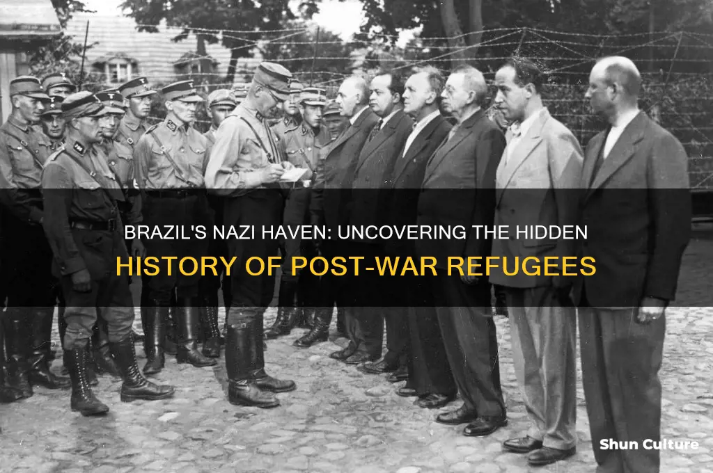 did brazil harbor nazis