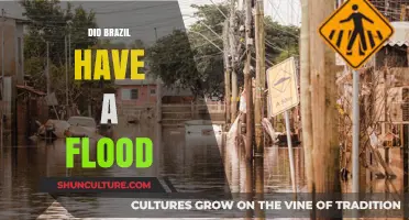Brazil's Devastating Floods: Causes, Impacts, and Recovery Efforts