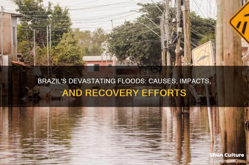 did brazil have a flood