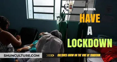 Brazil's Lockdown Measures: A Comprehensive Overview of COVID-19 Restrictions