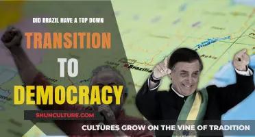 Brazil's Democratic Transition: A Top-Down Shift to Freedom?