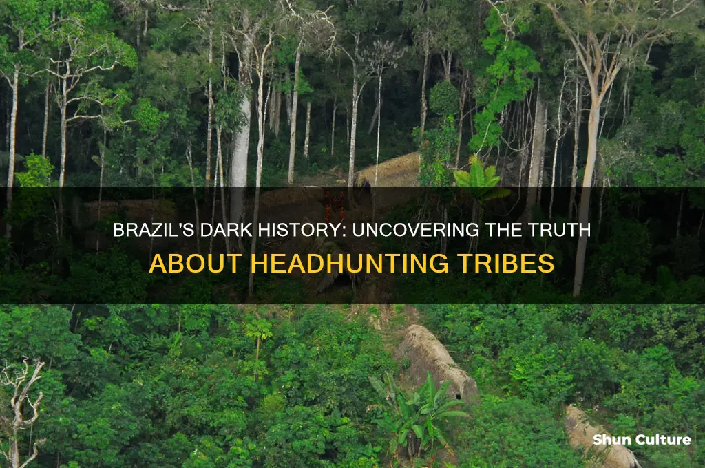 did brazil have head hunters
