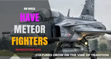 Brazil's Meteor Fighters: Fact or Fiction? Uncovering the Truth