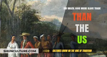 Brazil's Slave Trade: Surpassing the US in Historical Scale and Impact