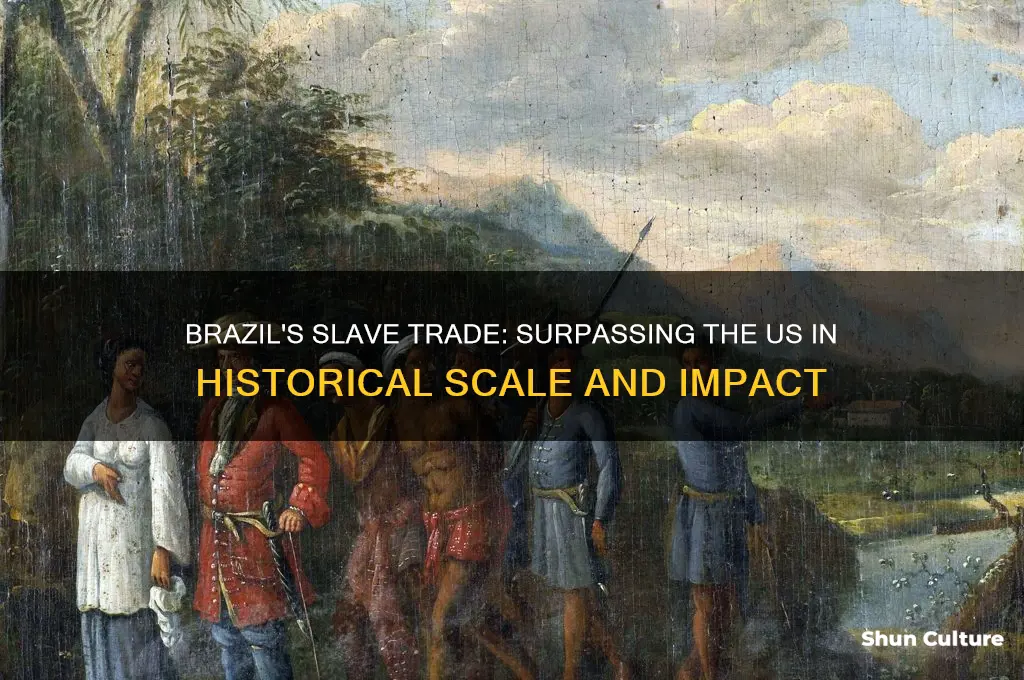 did brazil have more slave trade than the us