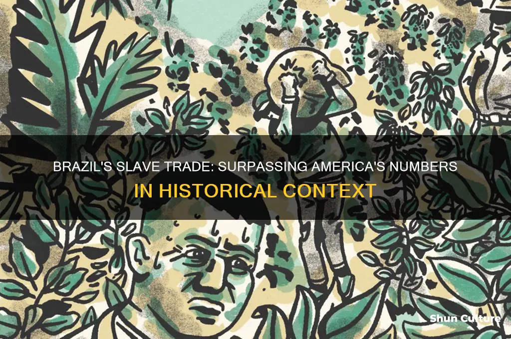 did brazil have more slaves than a erica
