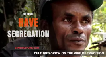 Brazil's Racial Divide: Exploring Historical Segregation and Its Legacy