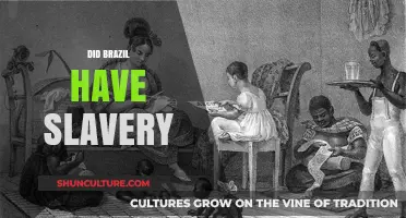 Brazil's Dark History: The Truth About Slavery in the Nation