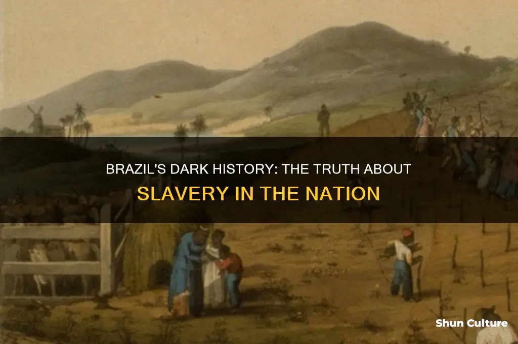 did brazil have slavery