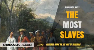 Brazil's Slave Trade: Did It Surpass All Others in History?