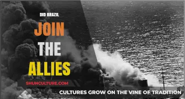 Brazil's Role in WWII: Did They Join the Allies?