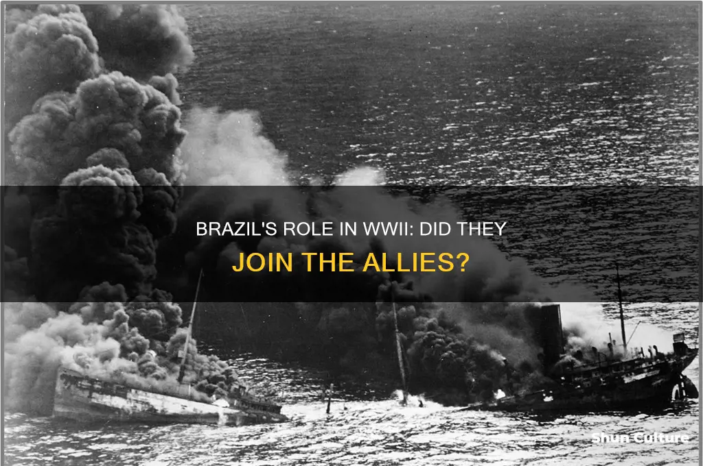 did brazil join the allies