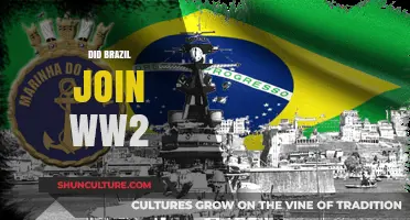 Brazil's Role in World War II: When and Why It Joined