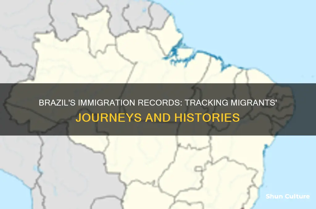 did brazil keep a record of immigrants