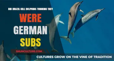 Brazil's WWII Blunder: Dolphins Mistaken for German Subs?