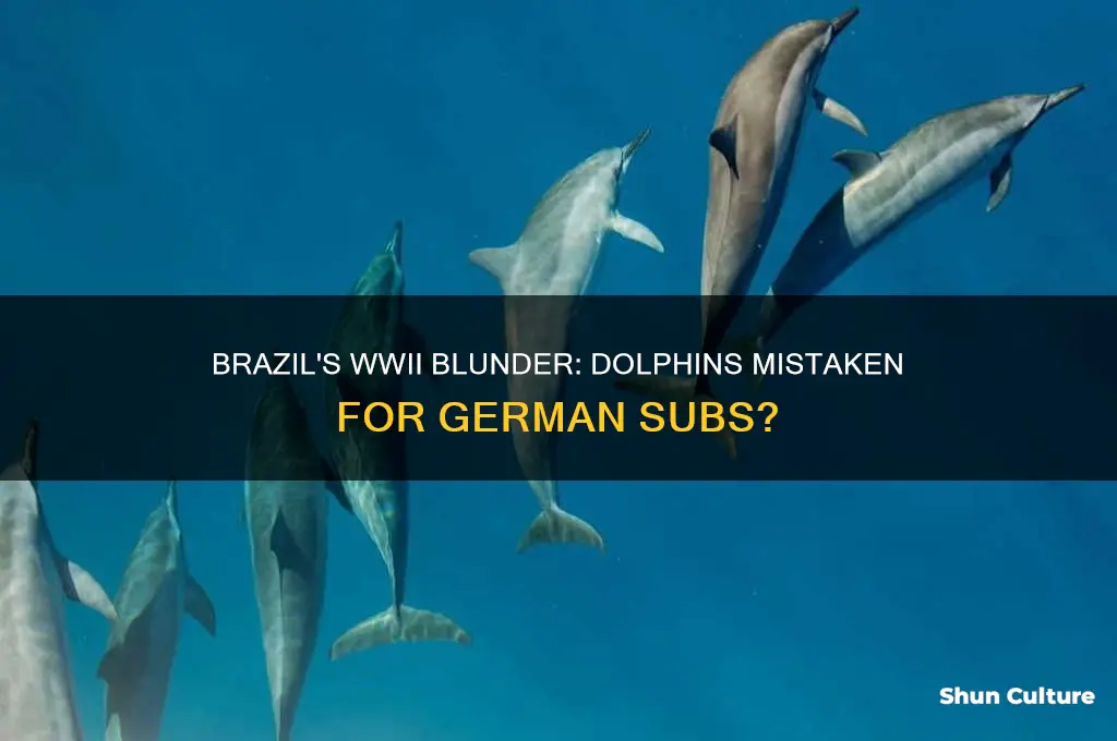 did brazil kill dolphins thinking they were german subs