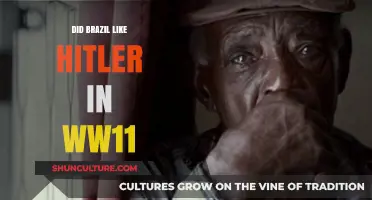 Brazil's Complex Stance on Hitler During World War II