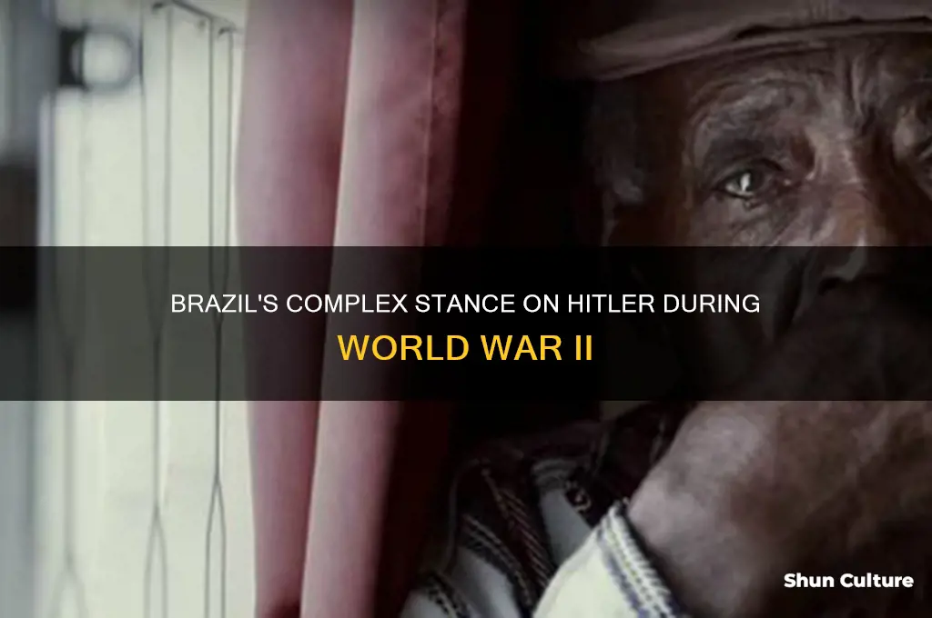 did brazil like hitler in ww11