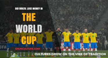Brazil's World Cup Financial Loss: Myth or Reality?
