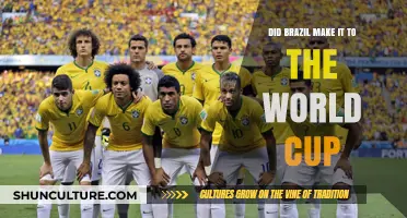 Brazil's World Cup Qualification Journey: Success or Setback?