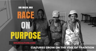 Brazil's Racial Mixing: Intentional Policy or Historical Coincidence?