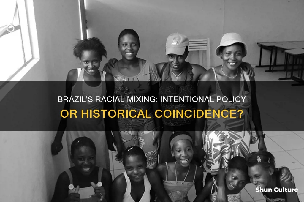 did brazil mix race on purpose
