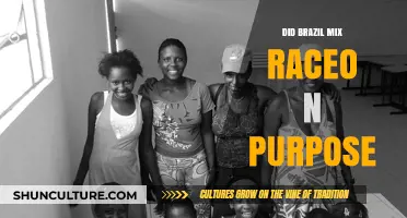 Brazil's Racial Mixing: Intentional Policy or Historical Coincidence?